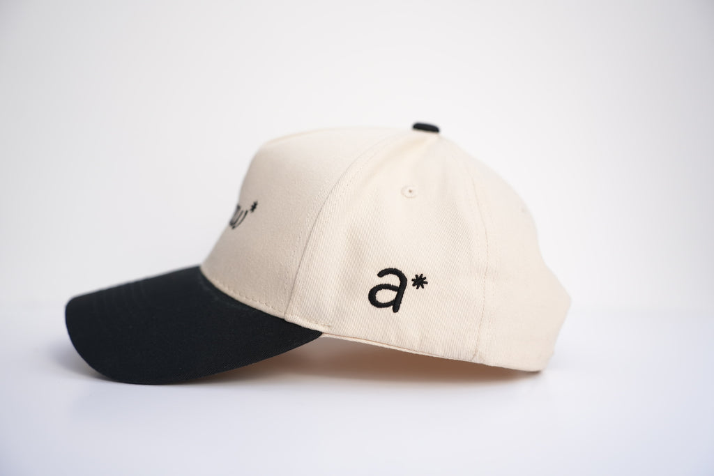 Avenew Two-Toned Hat